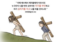 하나만평(경북하나신문 216호)