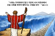하나만평(경북하나신문 176호)