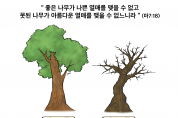 하나만평(경북하나신문 184호)