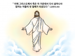 하나만평(경북하나신문 181호)