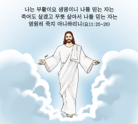 하나만평(경북하나신문 157호)